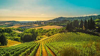 Toscana med Cinque Terre och Pisa